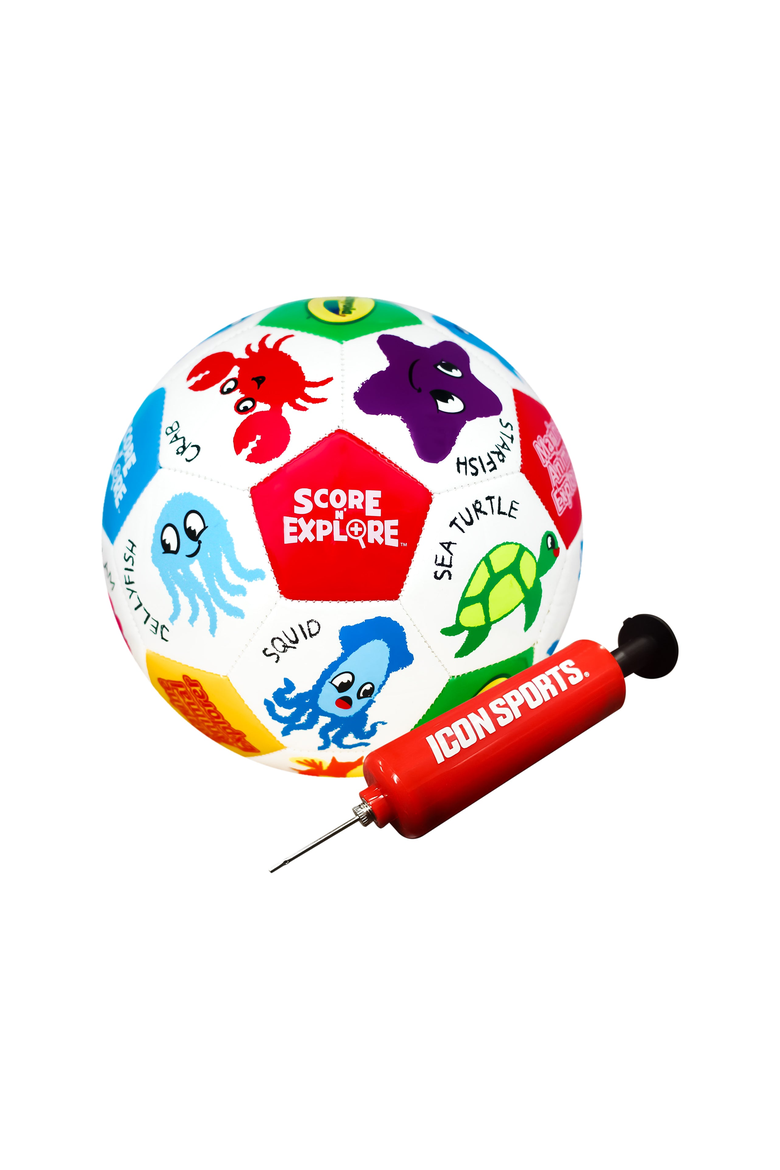 Marine Animal Soccer Ball, Main, color, Marine Animal