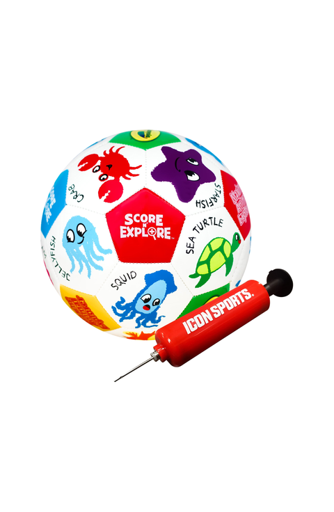 Marine Animal Soccer Ball