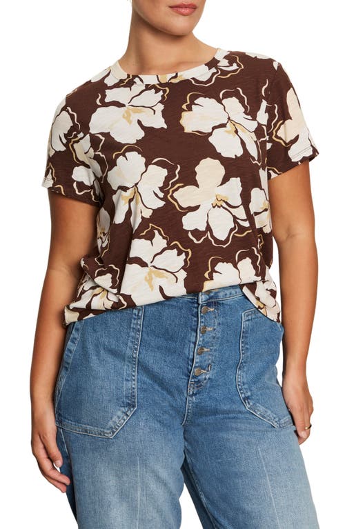Sanctuary The Perfect T-shirt In Brown