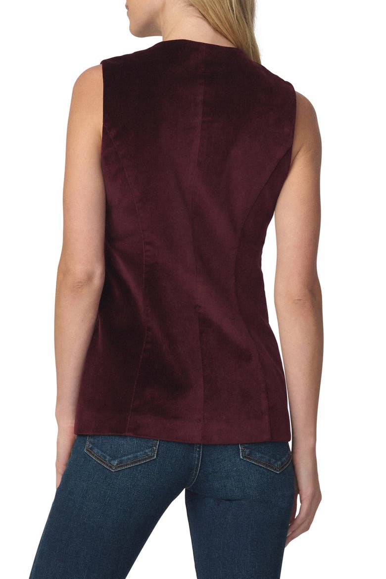 The Velveteen Sleeveless Tunic Top, Alternate, color, CABERNET
