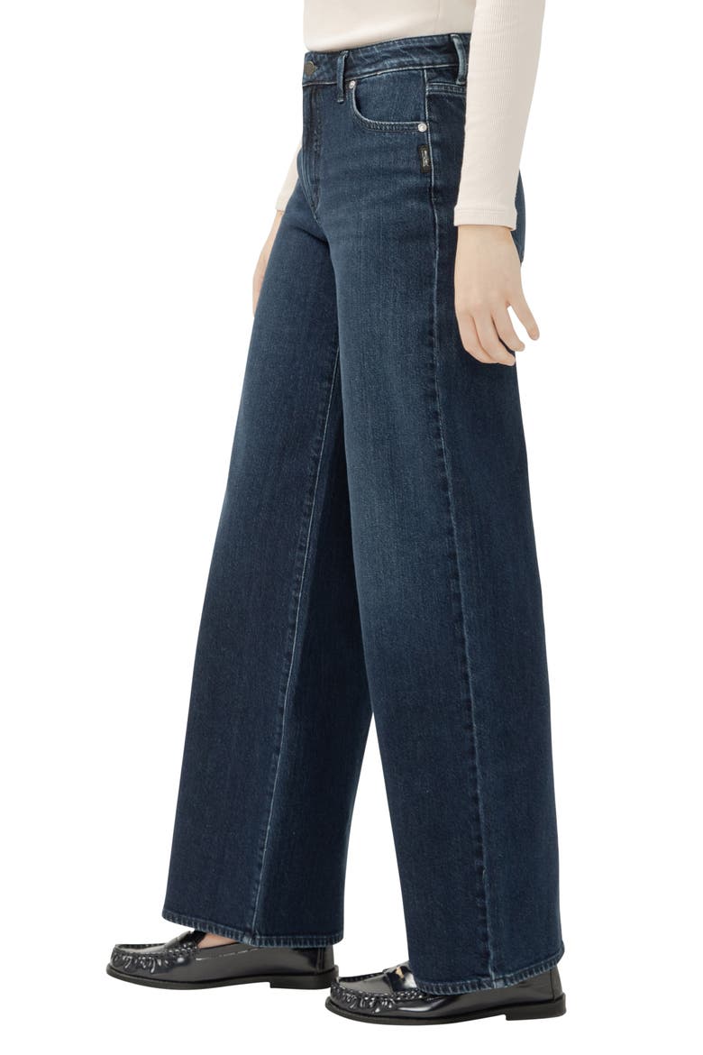 Isbister High Waist Wide Leg Jeans, Alternate, color, BIJOU
