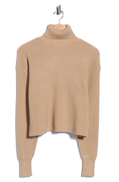 Cozy Rib Turtleneck Sweater