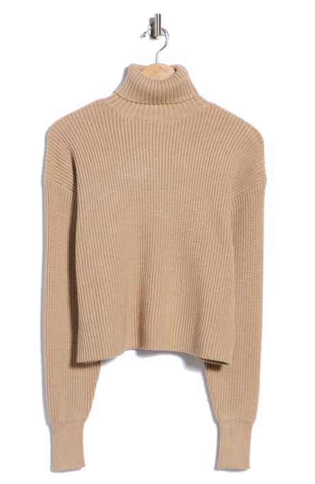 Cozy Rib Turtleneck Sweater