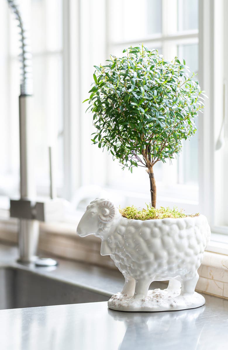 Juliska Renoir Ram Ceramic Serving Bowl, Alternate, color, Whitewash