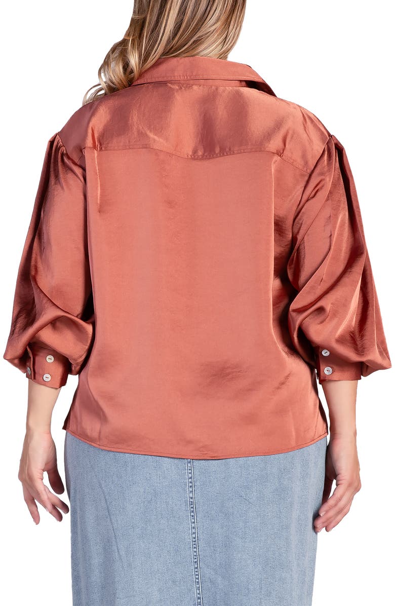 Standards & Practices Zeal Sateen Button-Up Blouse, Alternate, color, Rust