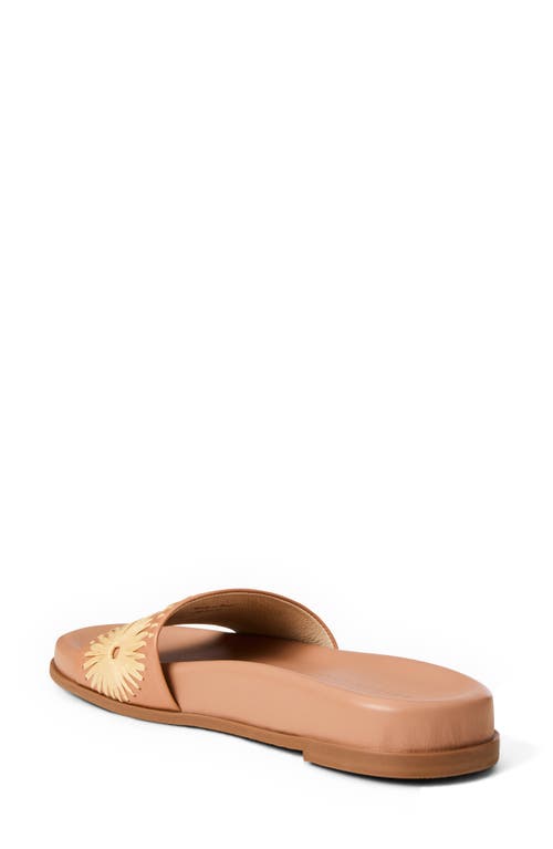 Jack Rogers Somerset Embroidered Slide Sandal