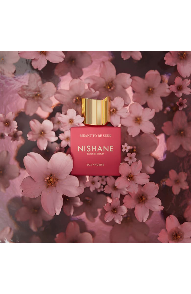 Nishane Meant To Be Seen Extrait De Parfum, Alternate, color, NO COLOR