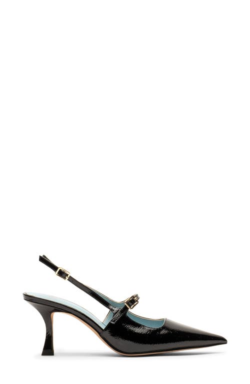 Frances Valentine Vivi Pointed Toe Slingback Pump In Black