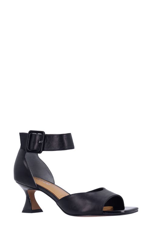 Shop J. Reneé Genevra Ankle Strap Sandal In Black