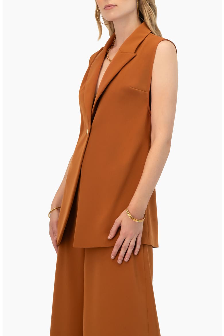 Single-button Tailored Vest, Alternate, color, Brown