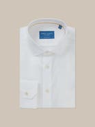 Robert Talbott Reynolds Light Weight Poplin Classic Fit Shirt