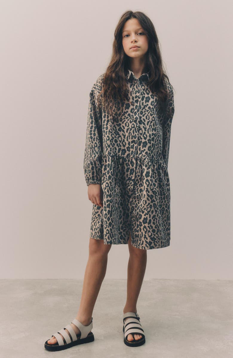 NEXT Kids' Leopard Shirtdress, Alternate, color, 