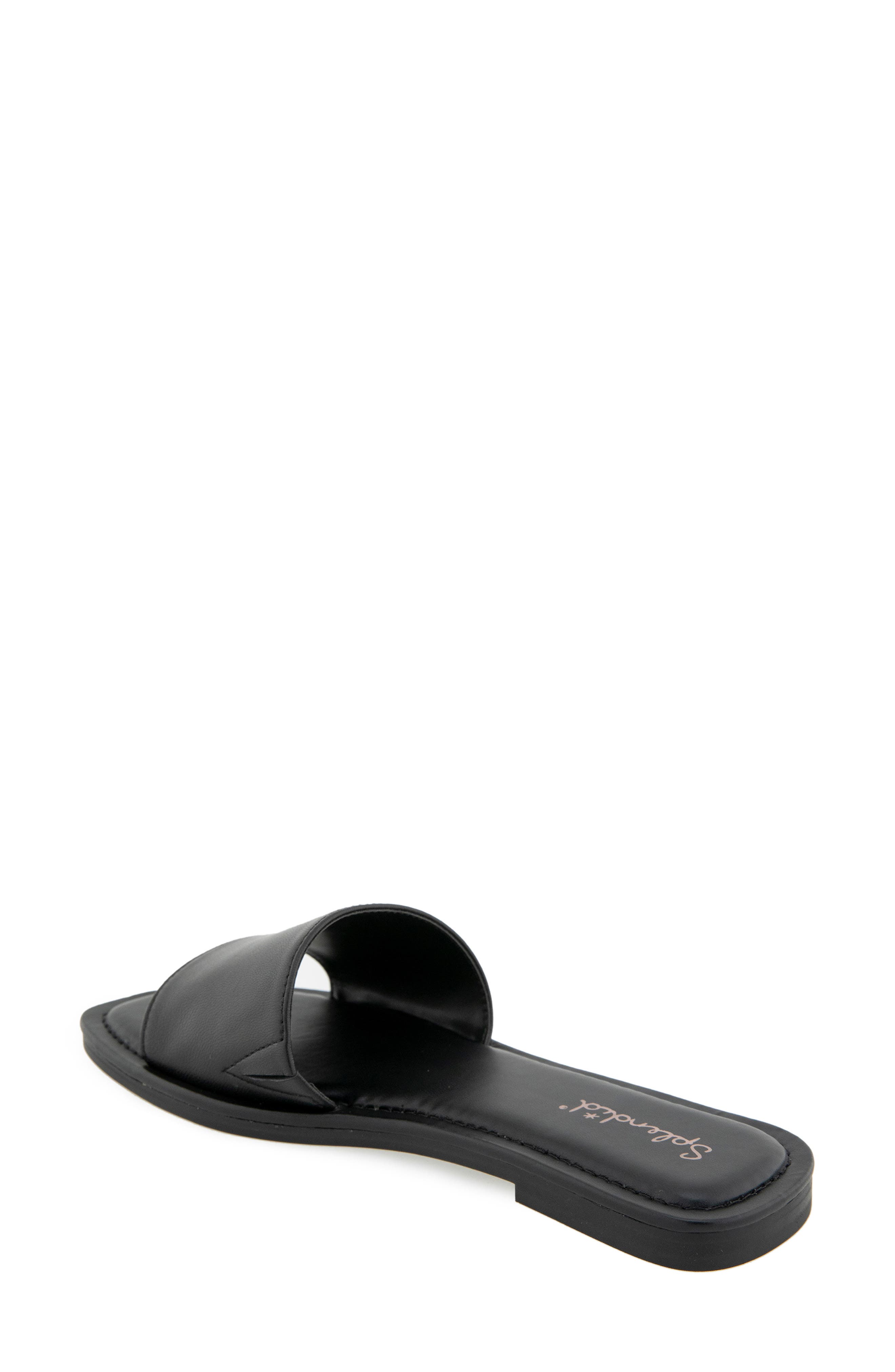 Splendid Dolly Slide Sandal, Alternate, color, Black