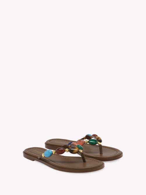 Gianvito Rossi Shanti Thong Embellished Leather Flip Flops In Brown