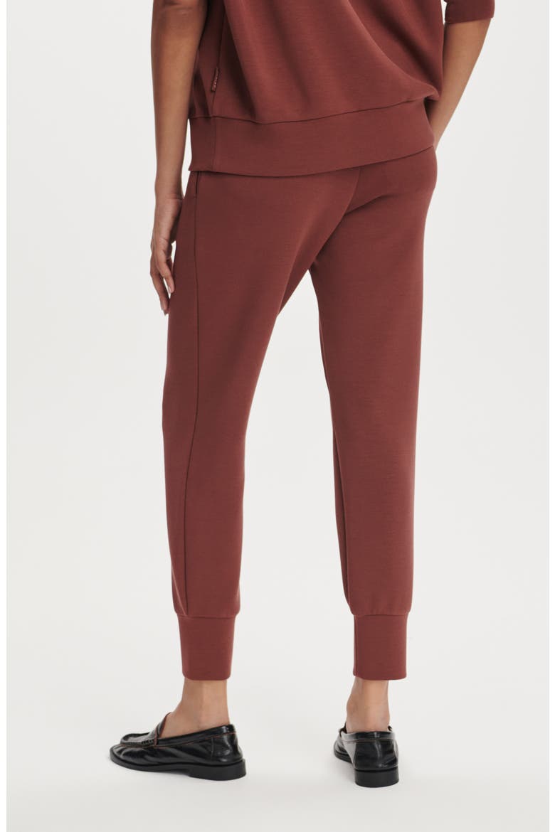 Brushed Rib Slim Cuff 25-Inch Pants, Alternate, color, CINNAMON