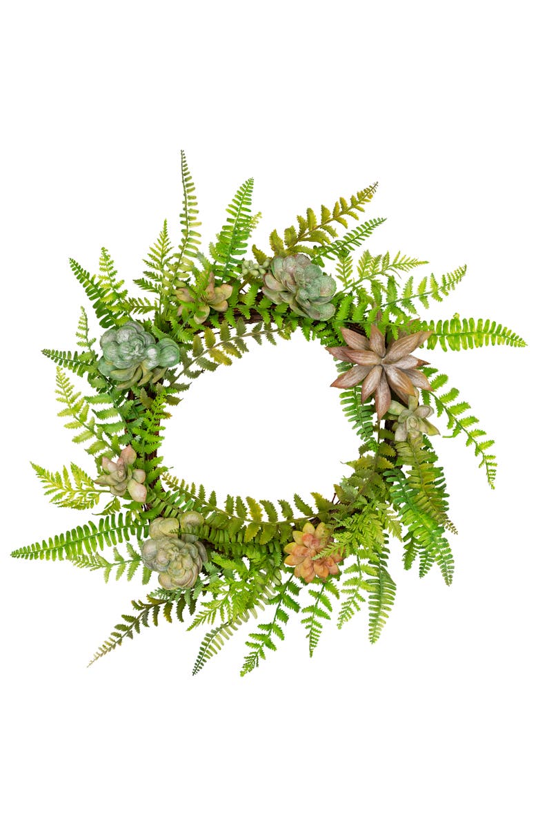 Northlight Succulents and Foliage Artificial Spring Twig Wreath, Green - 22-Inch, Main, color, Green