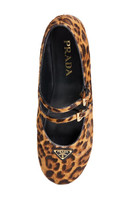 Prada Leopard Print Double Strap Ballet Flats