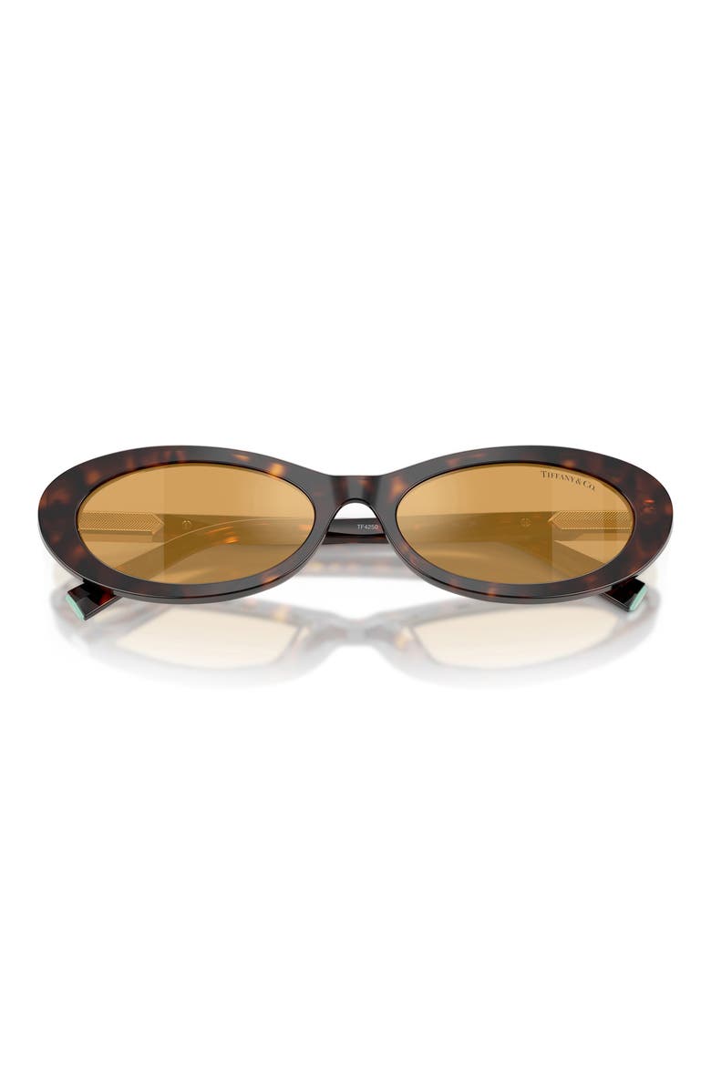 56mm Oval Sunglasses, Alternate, color, HAVANA / ORANGE MIRROR SILVER