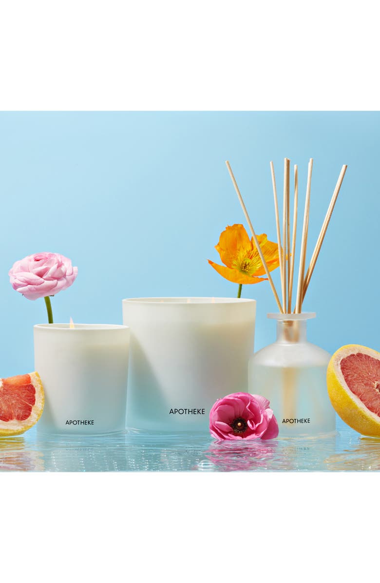 APOTHEKE Sea Salt Grapefruit Classic Scented Candle, Alternate, color, Sea Salt Grapefruit
