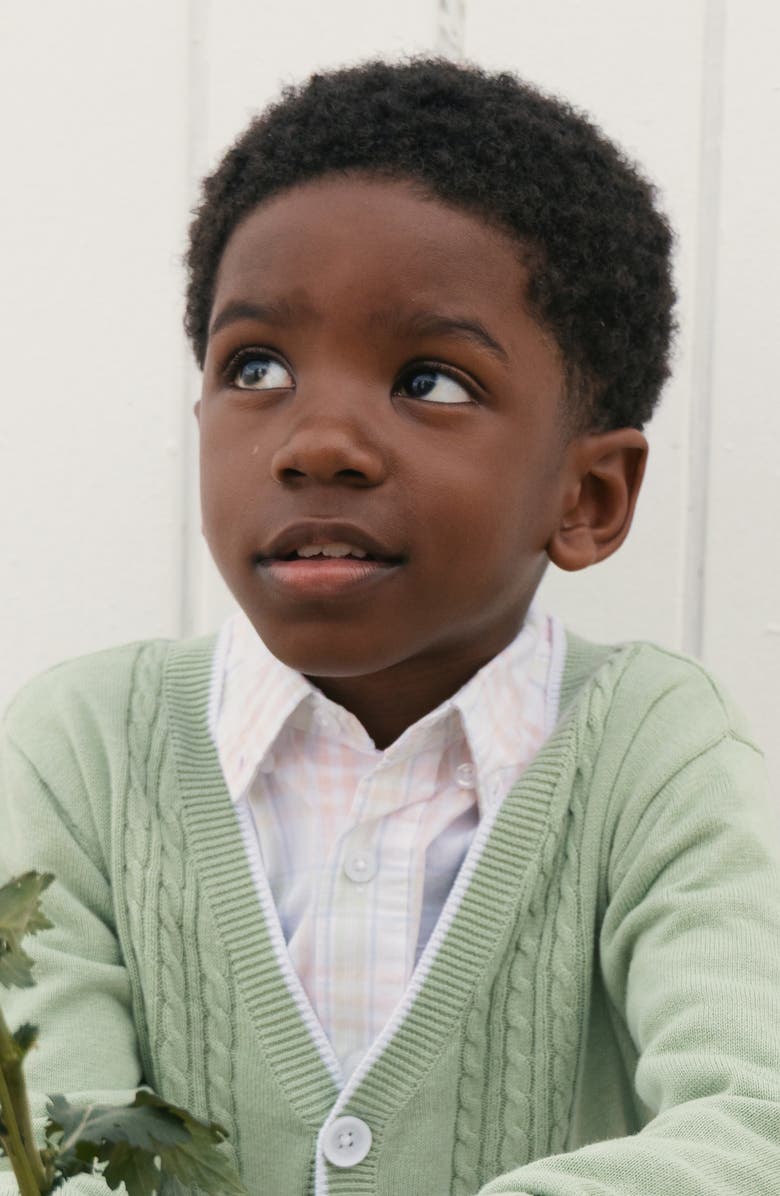 Hope & Henry Kids' Organic Long Sleeve Stretch Poplin Shirt, Alternate, color, Chateau Plaid