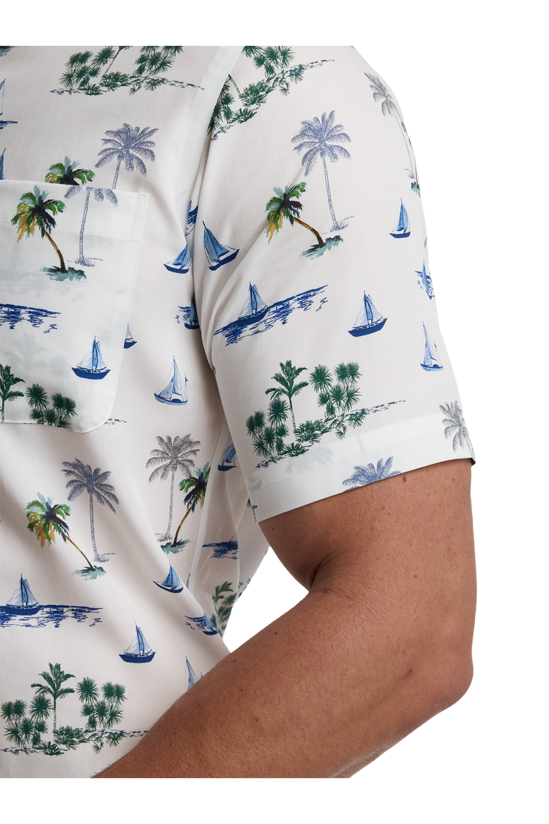 Cotton Buttondown Collar Poplin Tailored Contrast Trim Hemmed Sleeve Short Sleeve Shirt, Alternate, color, White Multi