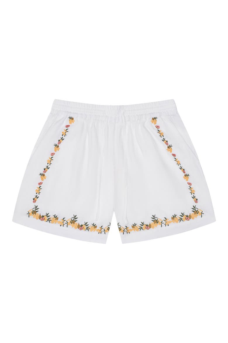 Embroidered Linen Blend Shorts, Main, color, BEIGE MULTI