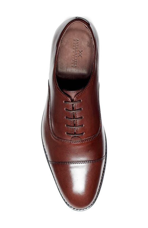 Anthony Veer Clinton Cap Toe Oxford In Chocolate Brown