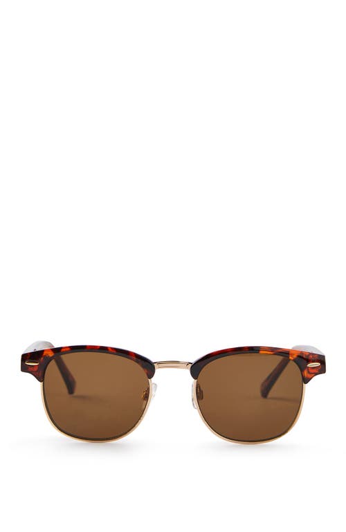 Cotton On The Member Sunglasses In Brown