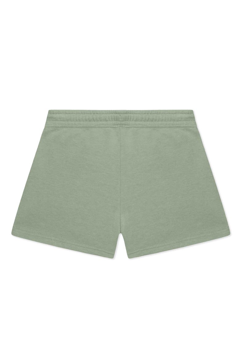 Womens Astronaut Midweight Washed Fleece Shorts, Alternate, color, Sage