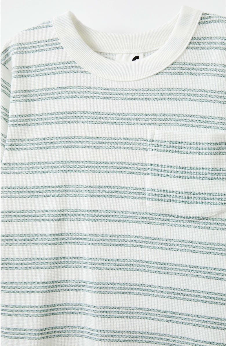 Cotton On Kids Kid's Thomas Textured Short Sleeeve Tee, Alternate, color, 