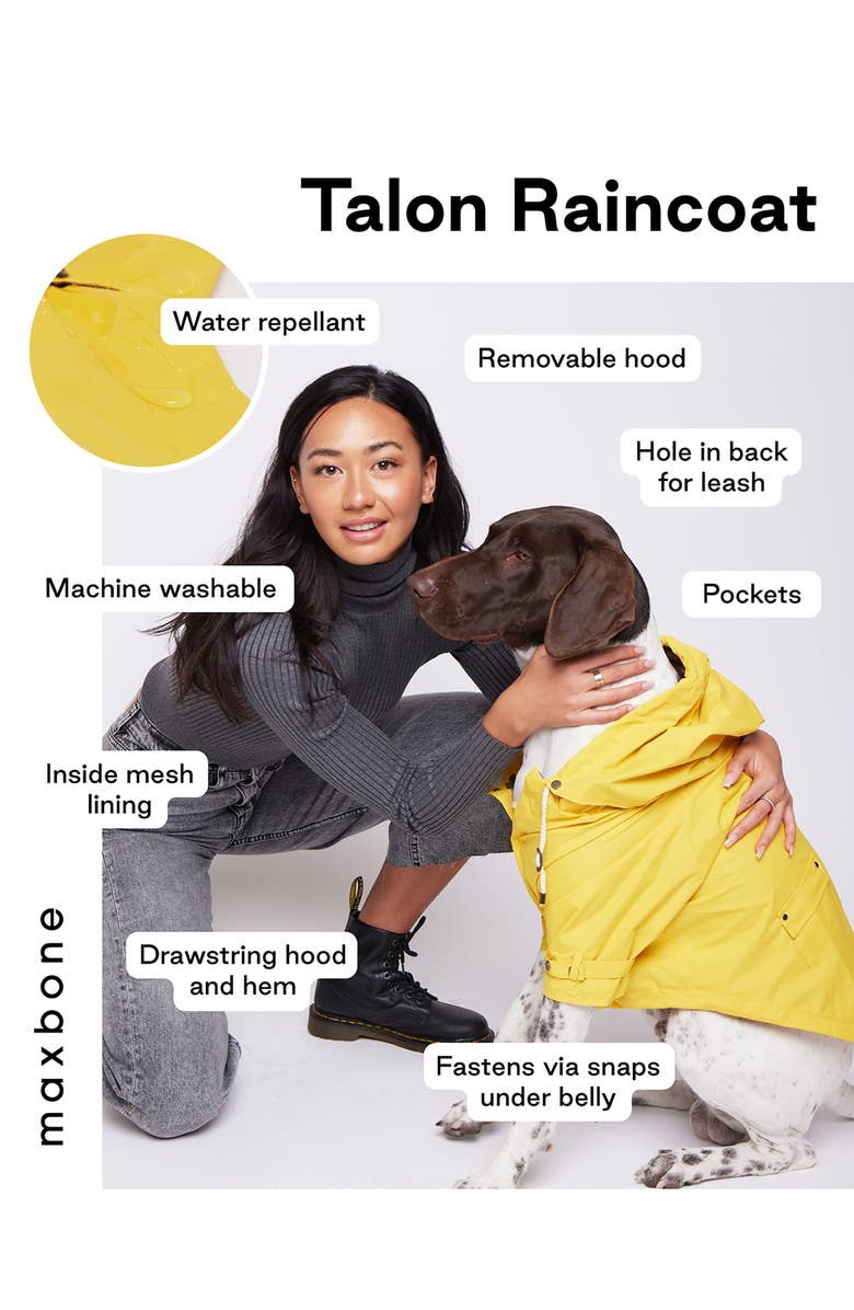 maxbone Talon Dog Raincoat, Main, color,