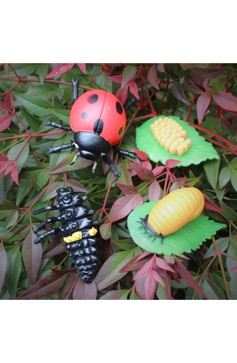 Safari Ltd. Life Cycle Of A Ladybug, Alternate, color, NO COLOR