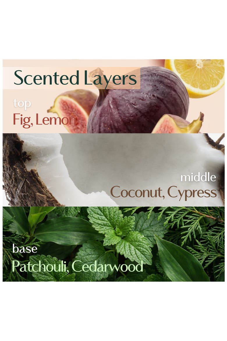Nearby Scented Balm, Alternate, color, DIVE IN FIG