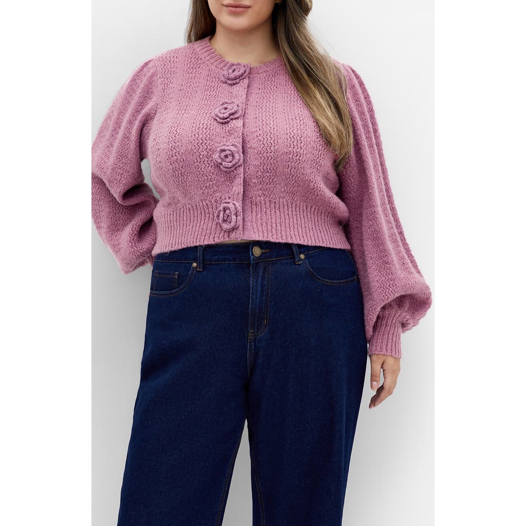 City Chic Winnie Crop Cardigan In Pink