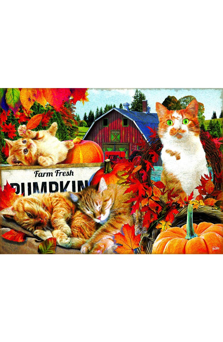 Sunsout Farm Fresh Pumpkins 300 piece Jigsaw Puzzle for Adults, Main, color, Multicolor