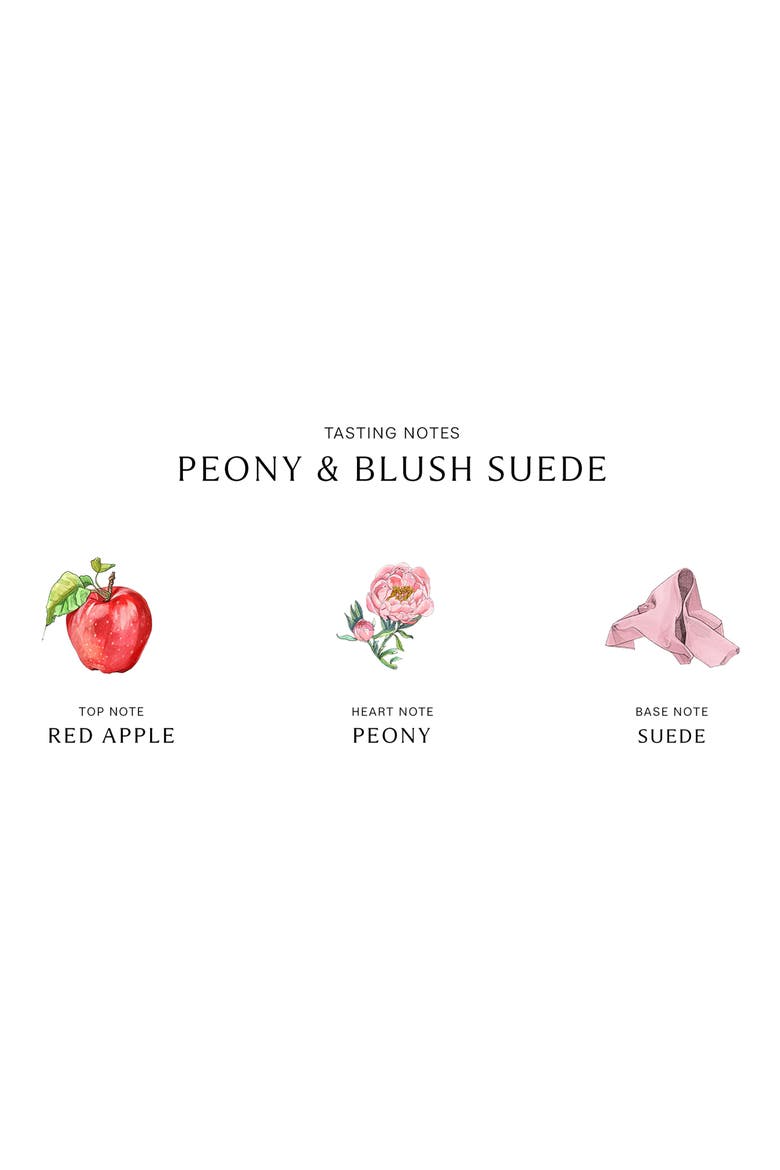 Peony & Blush Suede Scent Surround™ Diffuser, Alternate, color, NO COLOR