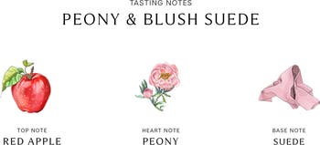 ジョーマローンJo Malone Peony & Blush キャンドル Peony & Blush Suede Candle - Jo Malone London | Sephora