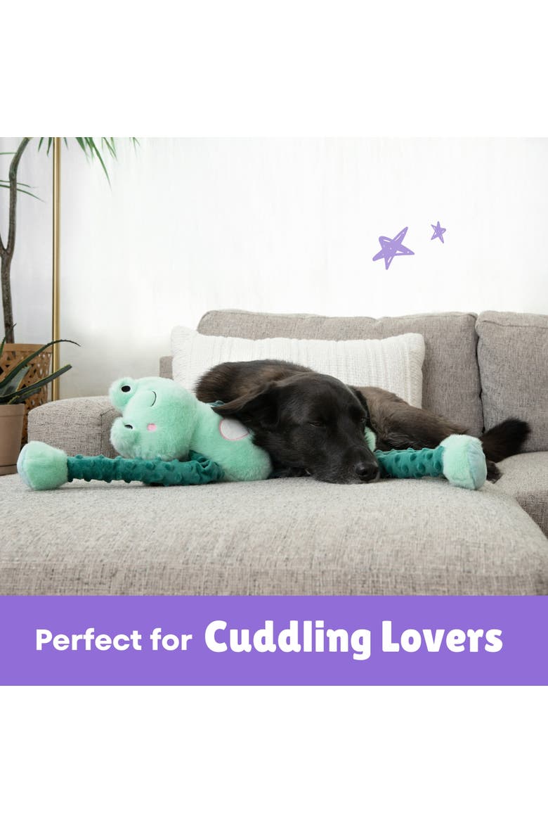 Fiona Frog, 24 Inch Dog Toy, Alternate, color, Multicolored