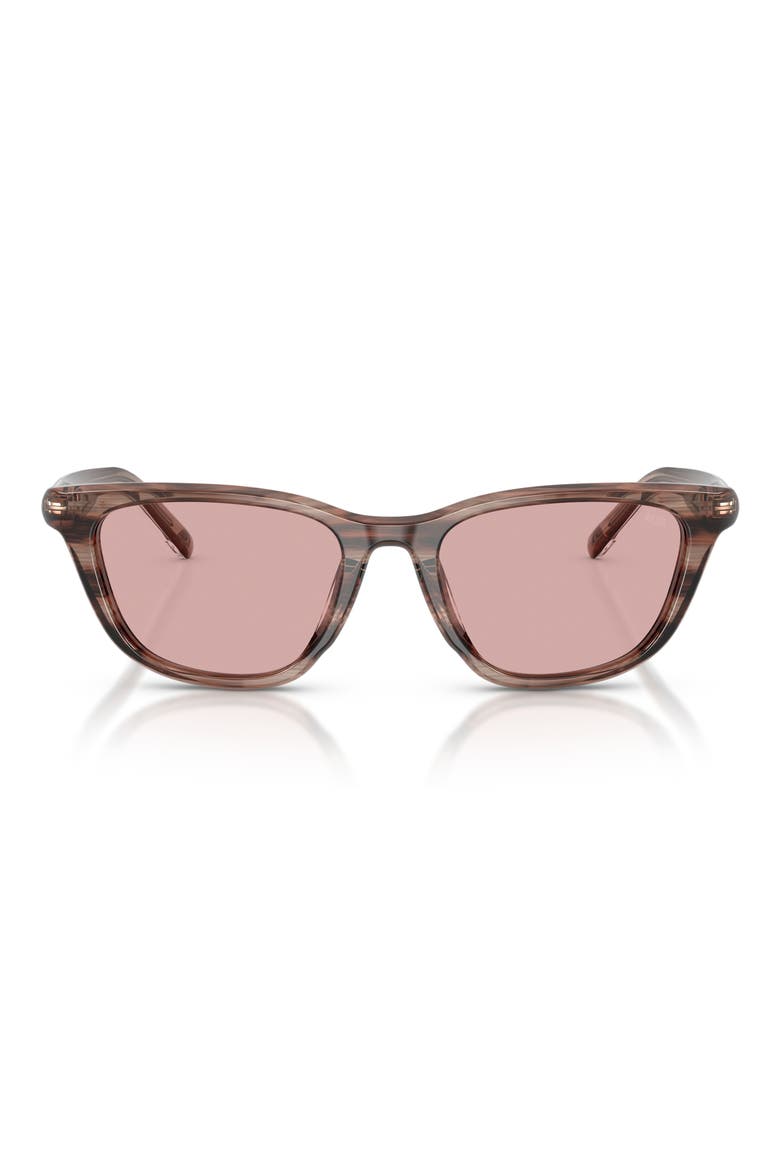 52mm Cat Eye Sunglasses, Main, color, STRIATED BROWN / LIGHT VIOLET