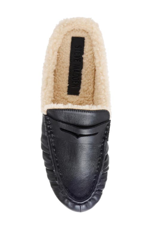 Steve Madden Rafe Genuine Shearling Mule In Black
