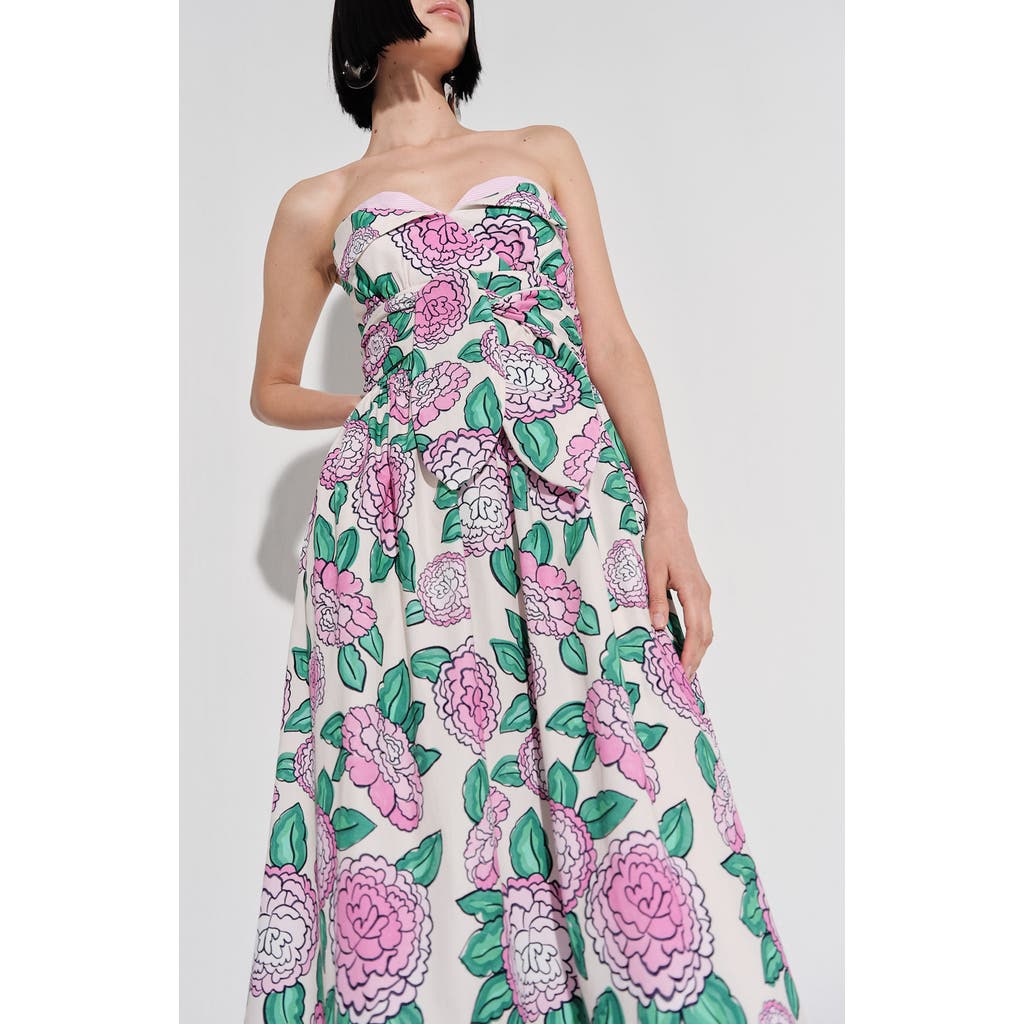 De Loreta Lidia Dress In Festival Print In Pink
