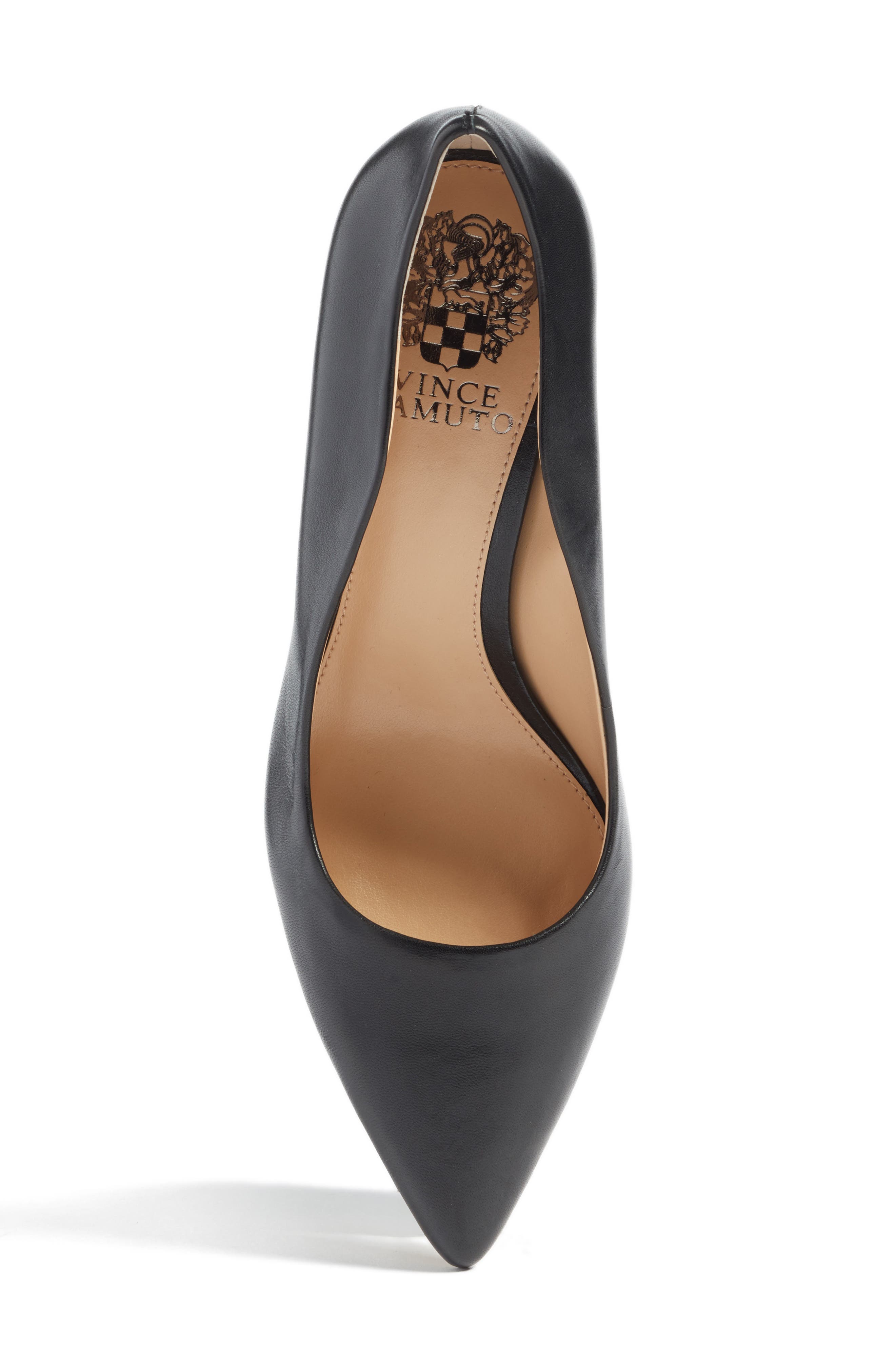 Vince Camuto Jaynita Pointy Toe Pump, Alternate, color, 