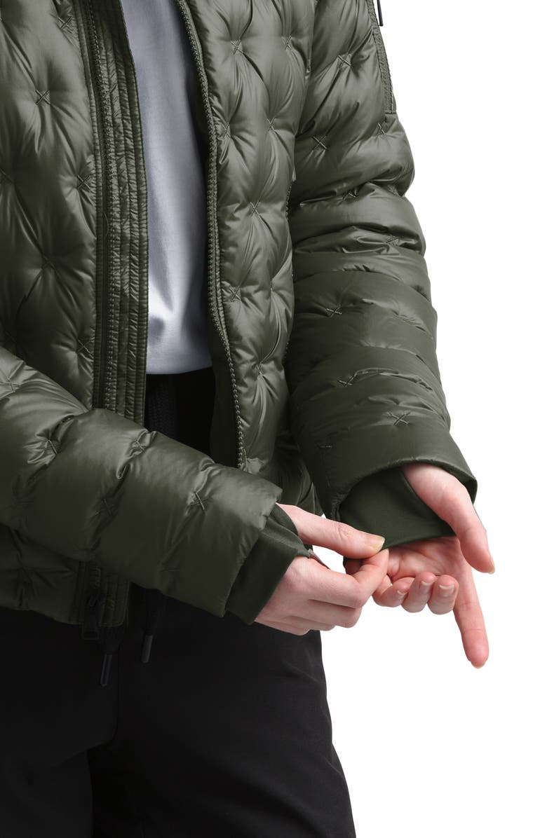 The North Face Holladown Water Repellent 550-Fill Power Down Crop Jacket, Alternate, color, 