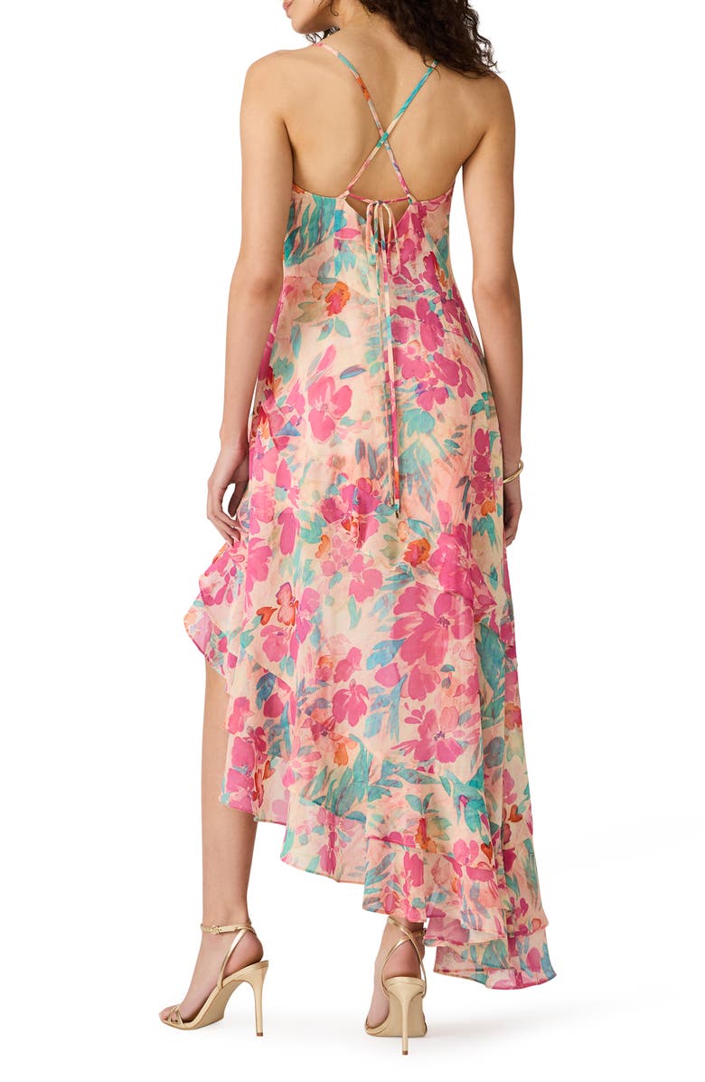 Steve Madden Sadie Floral Print Ruffle Maxi Dress, Alternate, color, Tropical Breeze