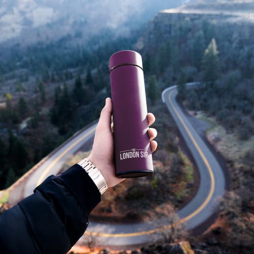 London Sip Infuser Bottle 16oz In Purple