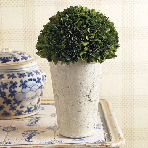 Napa Home & Garden Three Quarter Ball In Tom Pot In Green