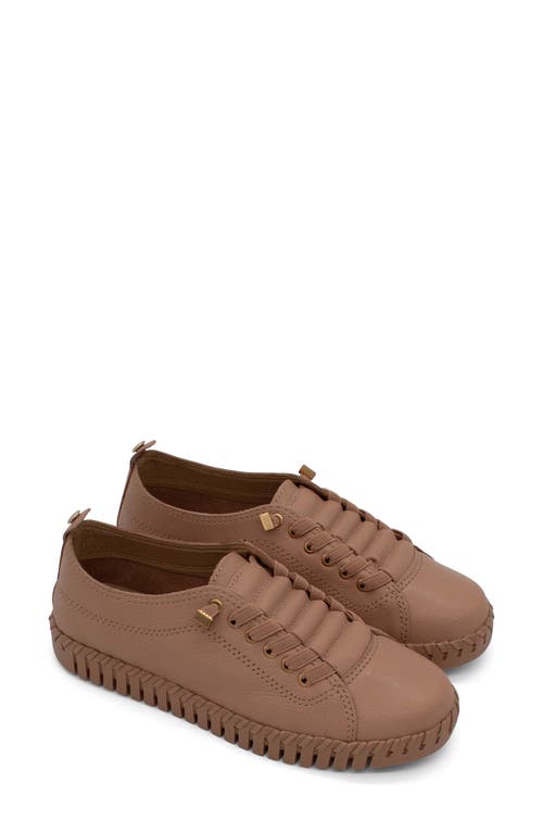 Bottero Bottwister Verao Xxiii Perforated Leather Sneaker