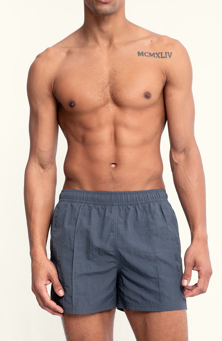 AUTO-REPLY<sup>™</sup> Sebastian Vertical Pintuck 4-Inch Nylon Swim Trunks, Alternate, color, Granite/ Gray