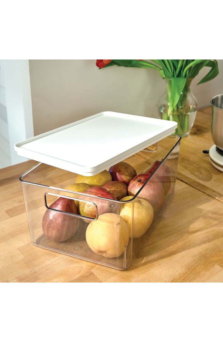 Basic Pantry Bin with Removable Lid - Plastic Storage Bin with Handles - Set of 6, Clear/White, Alternate, color, Clear