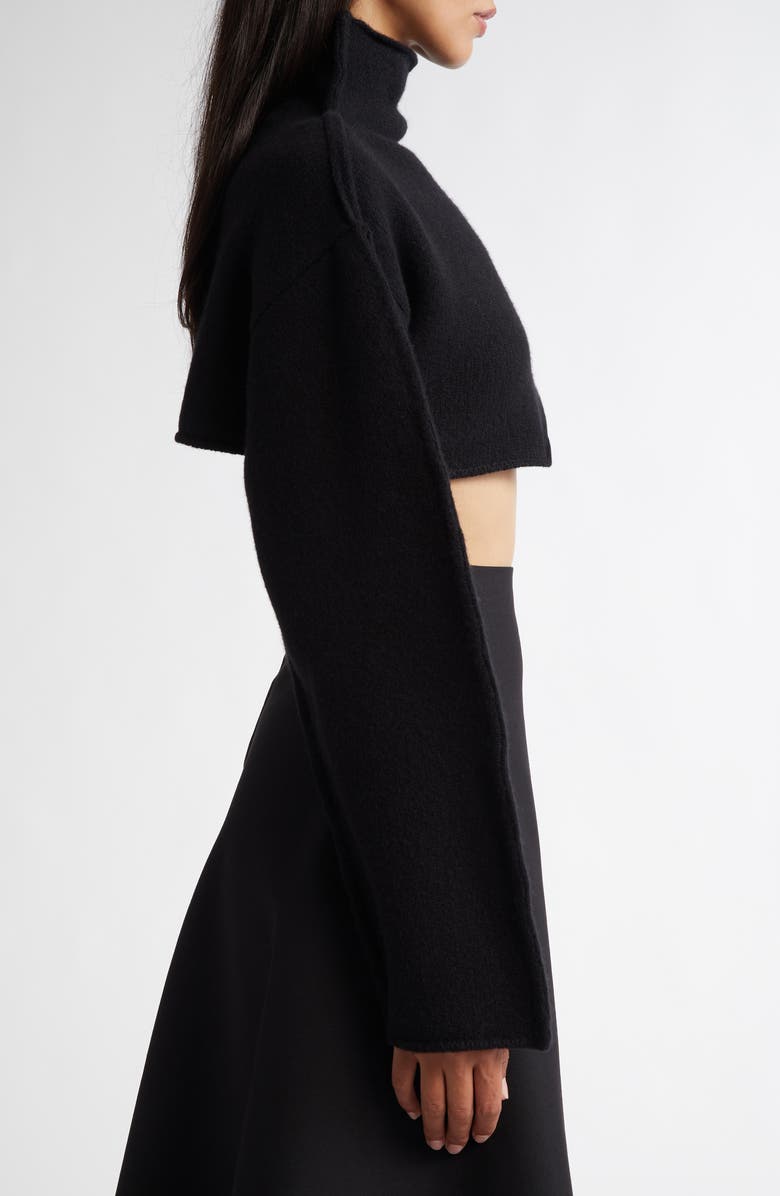 Marni Funnel Neck Virgin Wool Crop Sweater, Alternate, color, 